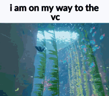 Abzu Vc GIF - Abzu Vc I Am On My Way To The Vc GIFs
