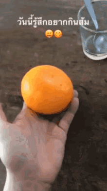 Popezaap ส้มส้ม GIF - Popezaap ส้มส้ม GIFs