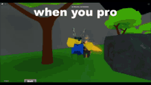 when you pro aed roblox