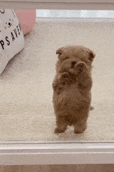 GIF