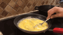 egg timelapse cooking pog