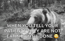 a black and white photo of a bear eating a piece of food .