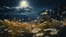 a field of flowers with a full moon in the sky