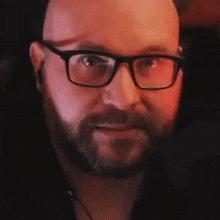 a bald man with a beard and glasses is looking at the camera .