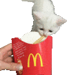 Frycat French Fry Sticker - Frycat Cat Fry Stickers