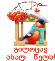 a bird with a scarf around its neck is sitting in a birdhouse