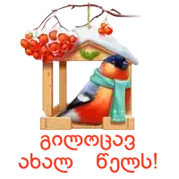 a bird with a scarf around its neck is sitting in a birdhouse