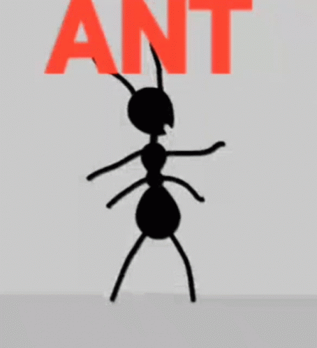 Animated Ant GIFs | Tenor