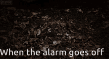 When Alarm GIF - When Alarm Goes GIFs