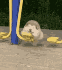Swing Puppy GIF - Swing Puppy Cute GIFs