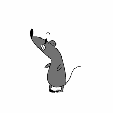rat happy