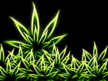 Stoner Stoned GIF - Stoner Stoned Marijuana GIFs
