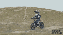 Riding Practice GIF - Riding Practice Lets Do This GIFs