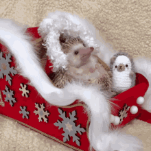 Pet Lover GIF - Pet Lover Merry GIFs