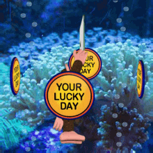 Your Lucky Day Lucky You GIF