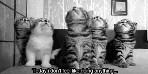 Today I Don'T Feel Like Doing Anything GIF - Anything Kitty Kitten -  Discover & Share GIFs