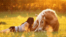 Cute Moment Horse GIF - Cute Moment Horse Animal GIFs