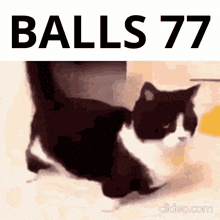 Balls 77 GIF