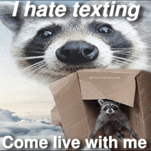 I Hate Texting Raccoon GIF - I Hate Texting Raccoon GIFs