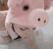 Pig Cosplay GIF - Pig Cosplay GIFs
