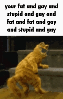 Fat Gay GIF - Fat Gay Stupid GIFs