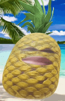 Meme Pineapple GIF