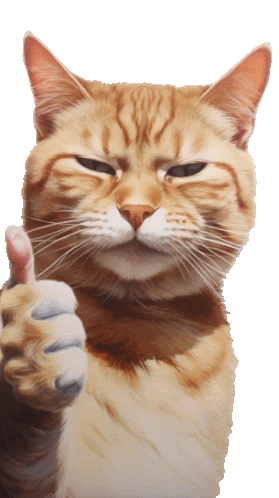 Acecat Sticker - Acecat - Discover & Share GIFs