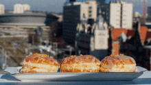 three doughnuts are on a plate with a city in the background