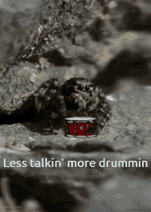 Drum Spider Drumming GIF - Drum Spider Drumming GIFs