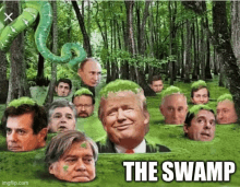 The Swamp GIF - The Swamp GIFs