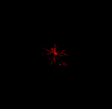 a black background with red lines coming out of a center