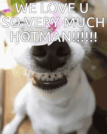 Hotman GIF - Hotman GIFs