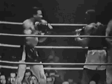 Sonny Liston Boxing GIF - Sonny Liston Boxing GIFs