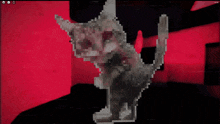 Cat Nnb GIF - Cat Nnb Jumpscare GIFs