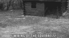Markiplier Squirrels GIF - Markiplier Squirrels Im The King GIFs