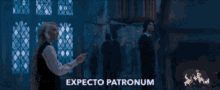 Expecto Patronum Magic GIF - Expecto Patronum Magic Power GIFs