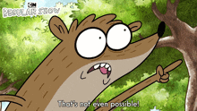 That'S Not Even Possible Rigby GIF - That'S Not Even Possible Rigby Regular Show GIFs