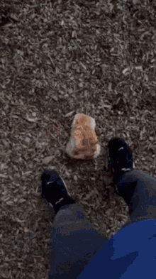 Eating Bread Hungry GIF