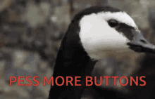 Goose Press More Buttons GIF - Goose Press More Buttons What GIFs
