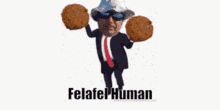 Felafel Human GIF - Felafel Human GIFs