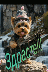 a small dog is holding a guitar in front of a waterfall and says здрасте !!!