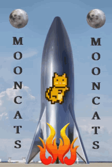 Mooncat Mooncats GIF
