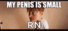 a cartoon character says `` my penis is small rn '' while looking at a computer screen .