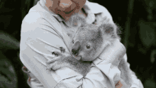 Joey Koala GIF - Joey Koala Australia Zoo GIFs