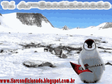 aire acondicionado ar condicionado air conditioning pinguin summer