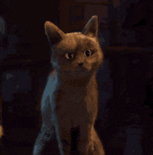 Puss In Boots GIFs | Tenor