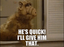 Alf Hes Quick GIF - Alf Hes Quick Ill Give Him That GIFs