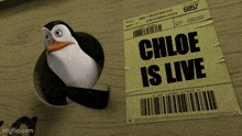 a penguin is sticking its head out of a hole next to a postcard that says chloe is live