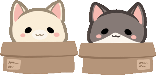 cute kittens in boxes
