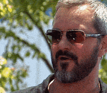 a man with a beard wearing sunglasses looks at the camera